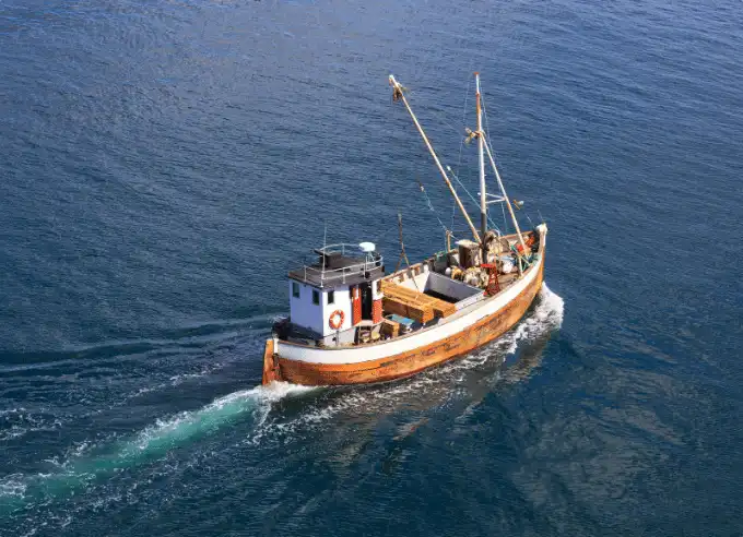 Seafood Fishing